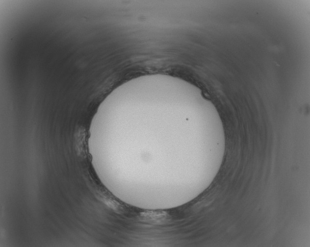 X0000073970480200609111747