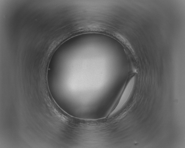 X0000073970481200609111746