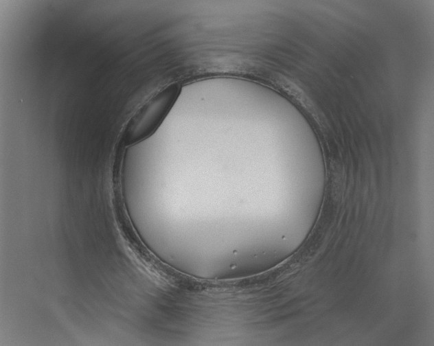 X0000073970482200609111746