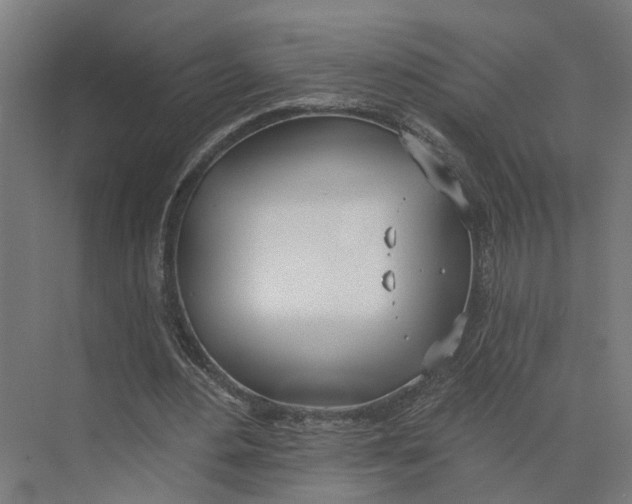 X0000073970484200609111746