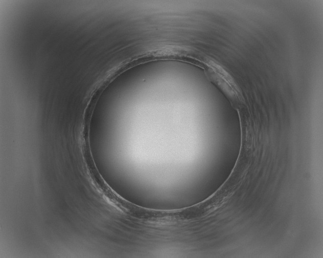 X0000073970485200609111746