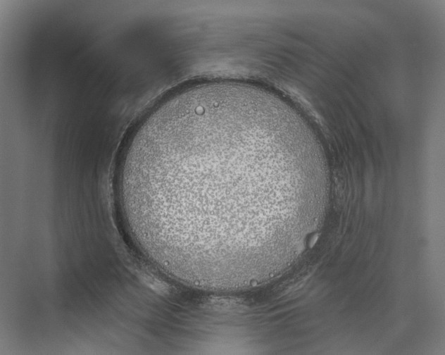 X0000073970487200609111746