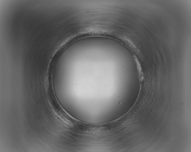 X0000073970488200609111746