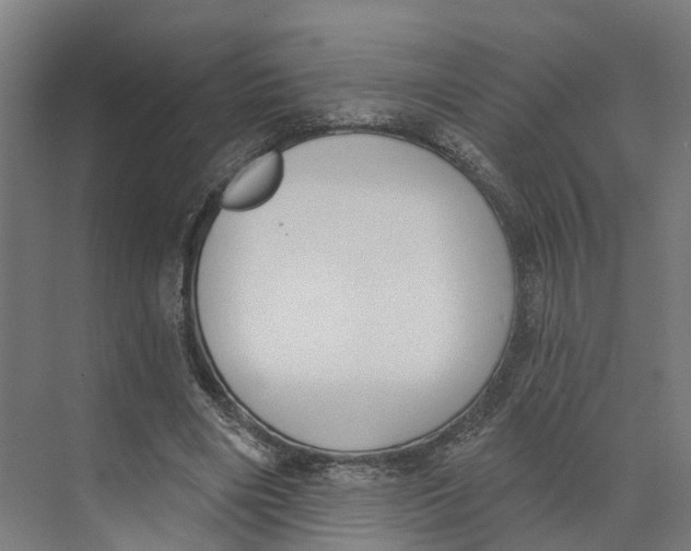 X0000073970490200609111746