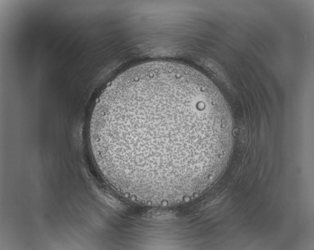 X0000073970491200609111746