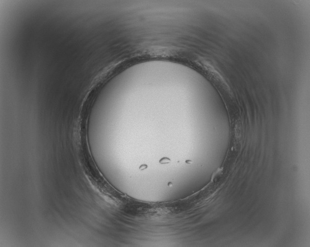 X0000073970492200609111746