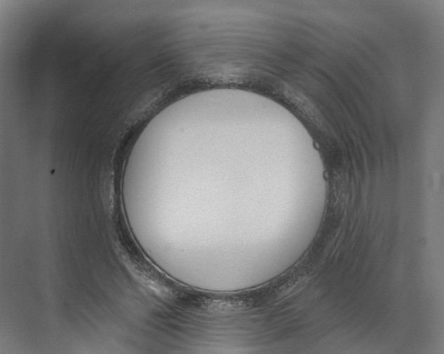 X0000073970494200609111746