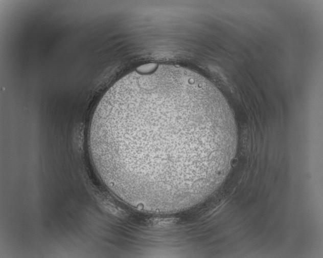 X0000073970495200609111746