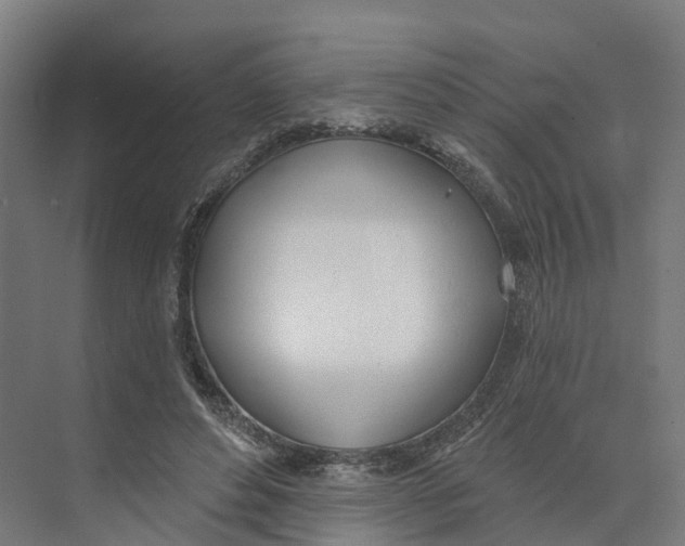 X0000073970496200609111746