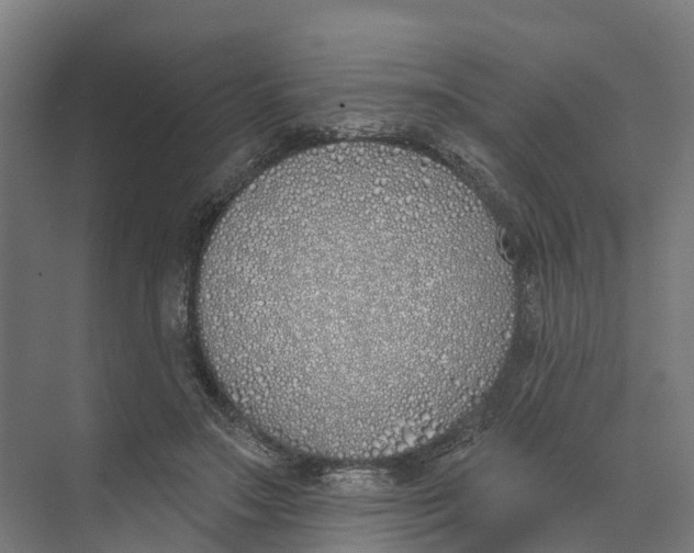 X0000073970499200609111745