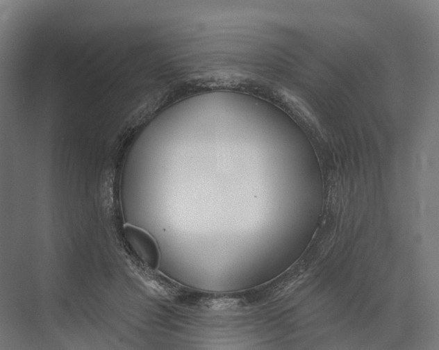 X0000073970501200609111745