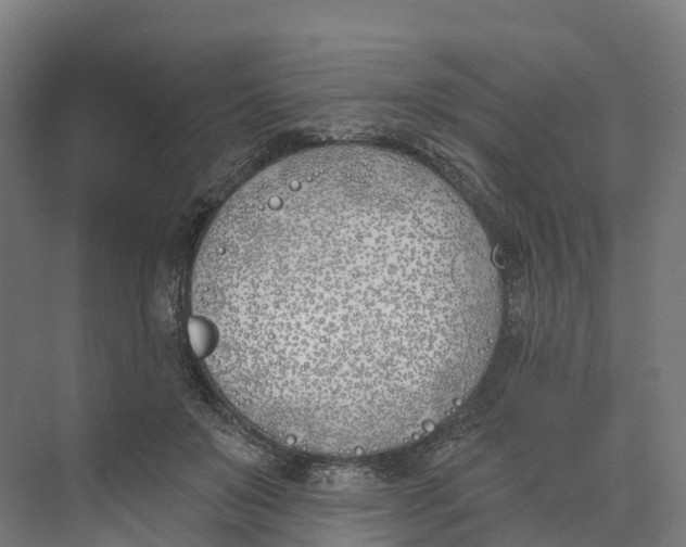 X0000073970503200609111745