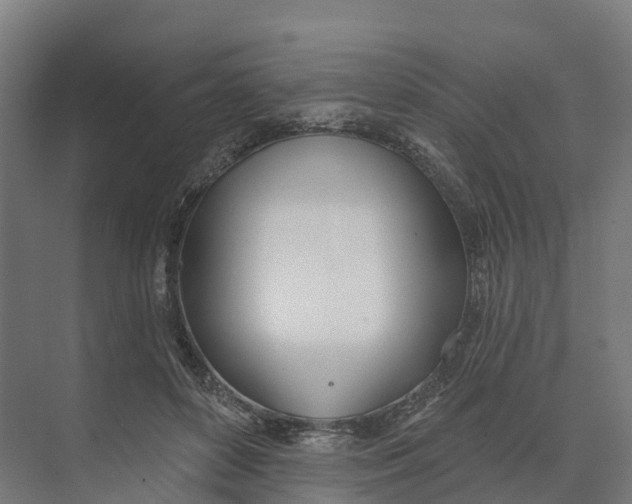 X0000073970504200609111745