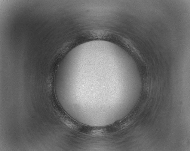 X0000073970505200609111745