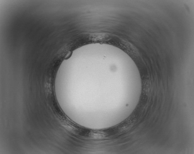 X0000073970510200609111745