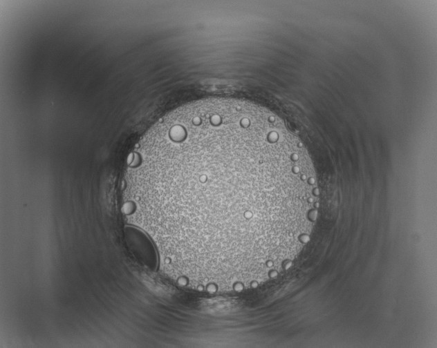 X0000073970511200609111745