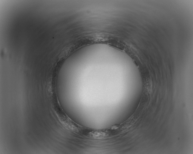 X0000073970512200609111745