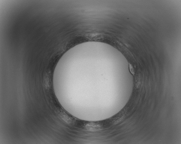 X0000073970515200609111745