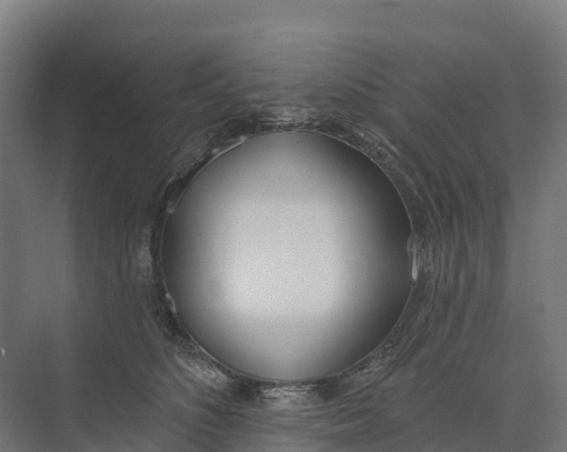 X0000073970516200609111745