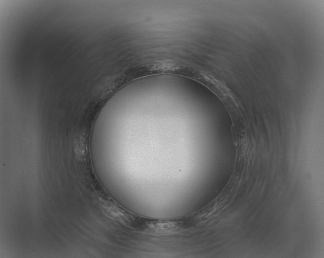 X0000073970517200609111745