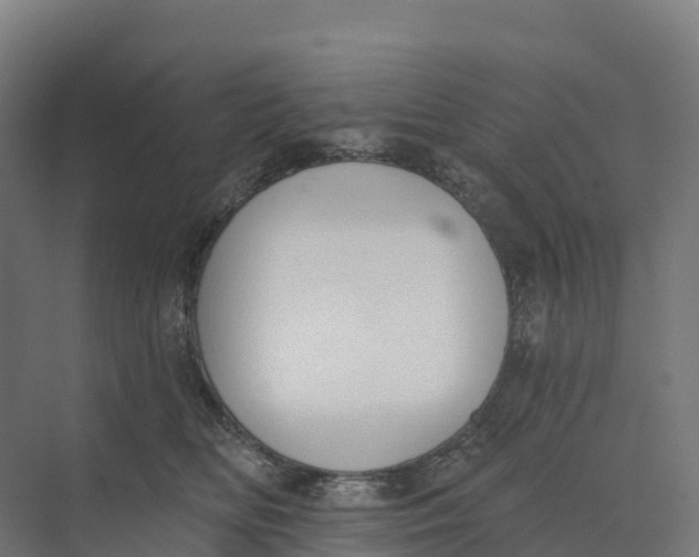 X0000073970518200609111745