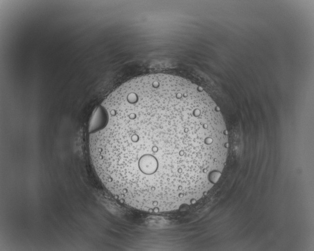 X0000073970519200609111745