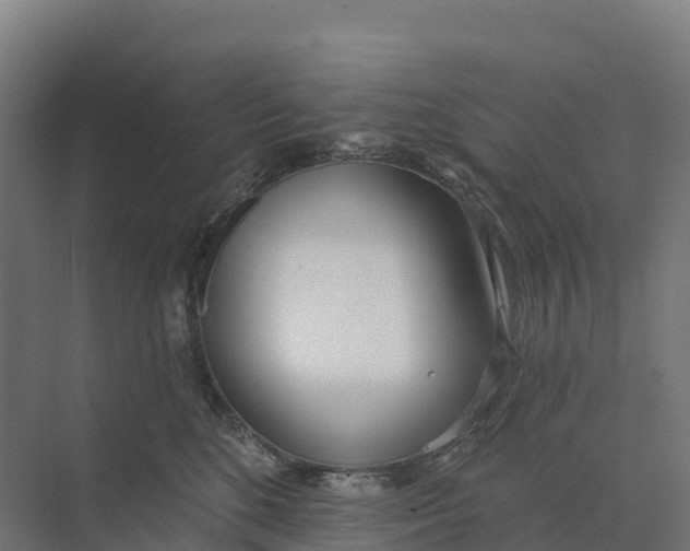 X0000073970520200609111745