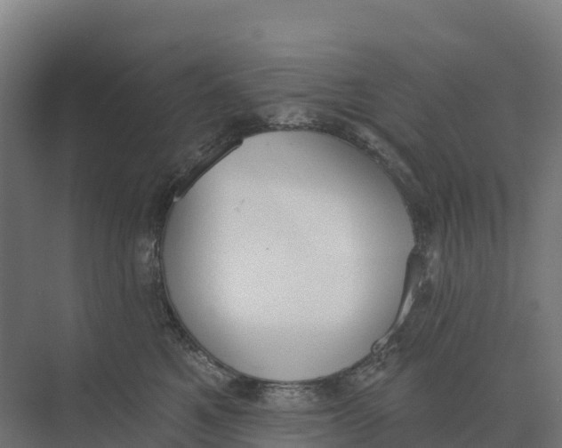 X0000073970521200609111745