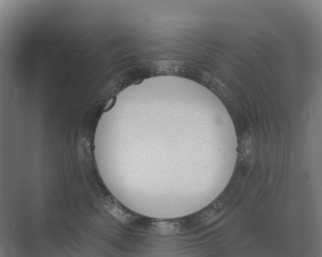 X0000073970522200609111745