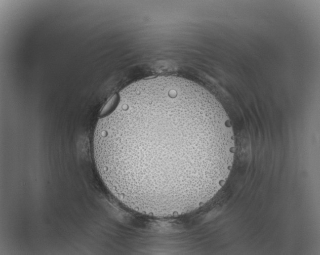 X0000073970523200609111745