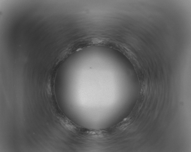 X0000073970524200609111745