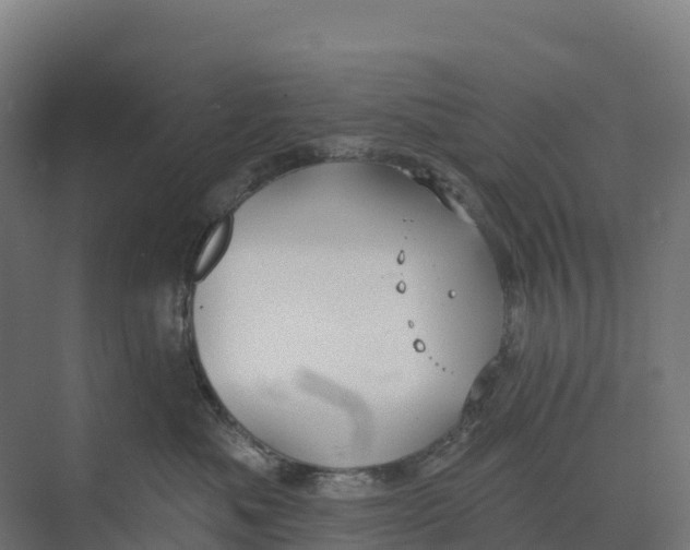 X0000073970525200609111745