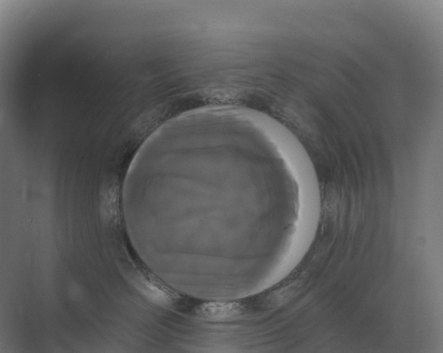 X0000073970526200609111745