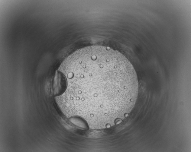 X0000073970527200609111745