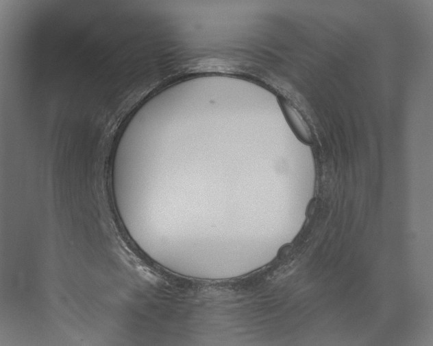 X0000073970529200609111744