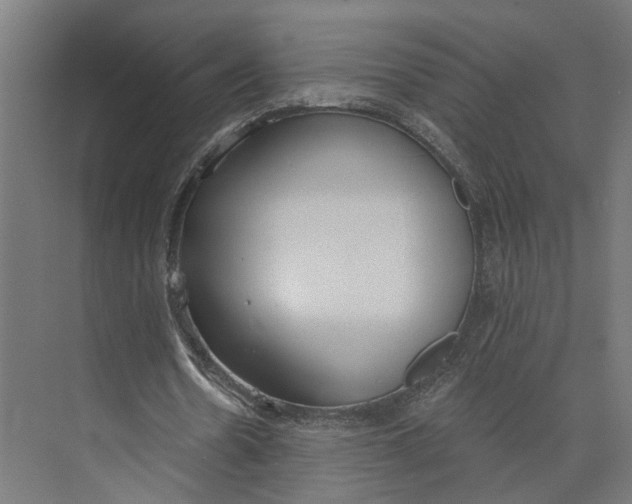 X0000073970530200609111744