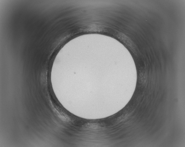 X0000073970534200609111744