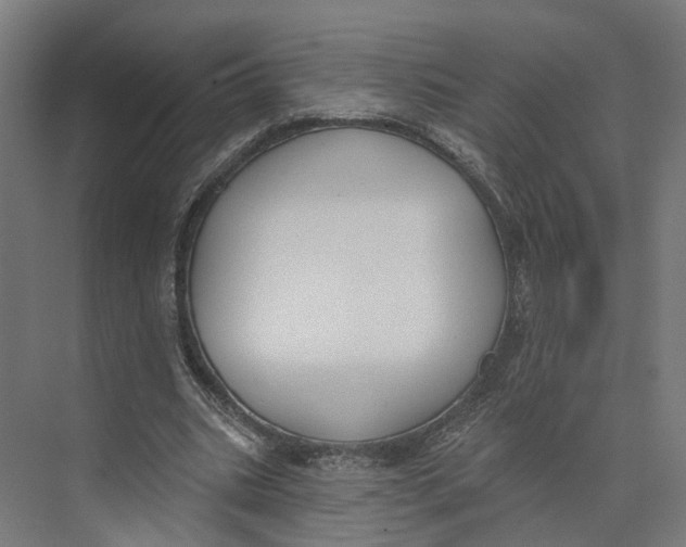 X0000073970535200609111744