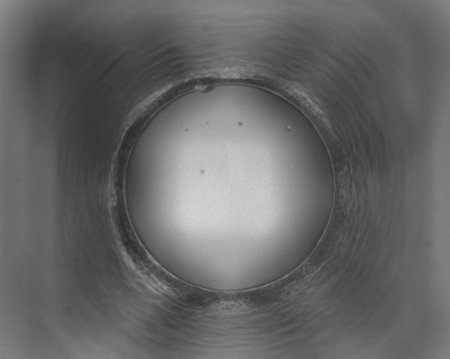 X0000073970536200609111744