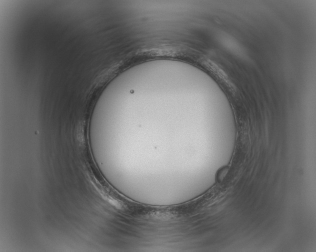 X0000073970537200609111744