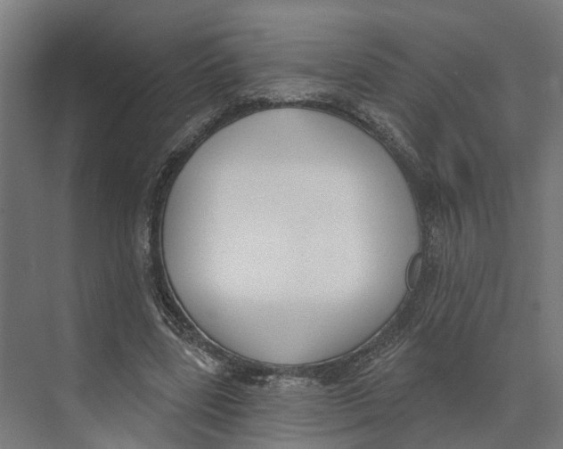 X0000073970539200609111744