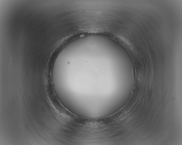 X0000073970540200609111744