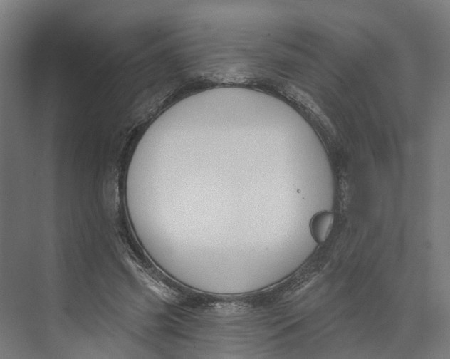 X0000073970541200609111744