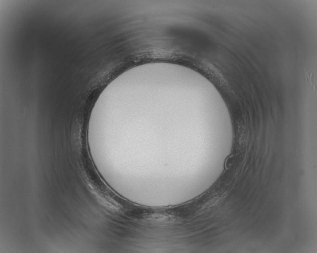 X0000073970542200609111744