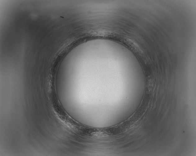 X0000073970544200609111744