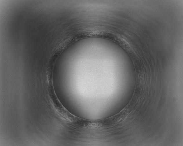 X0000073970546200609111744