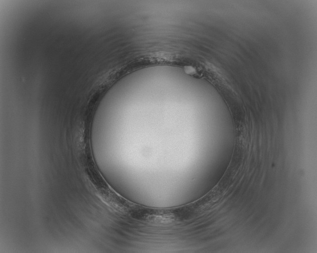 X0000073970548200609111745