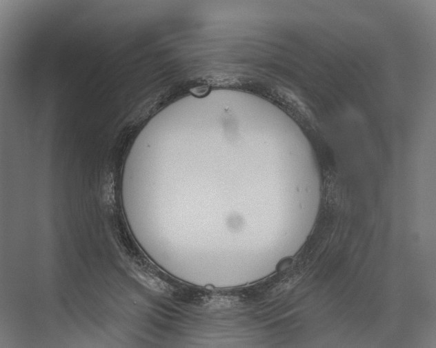 X0000073970549200609111745