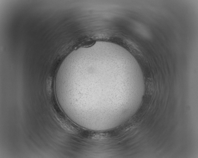 X0000073970550200609111745