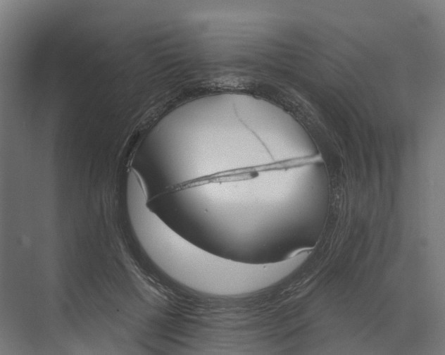 X0000073970552200609111745